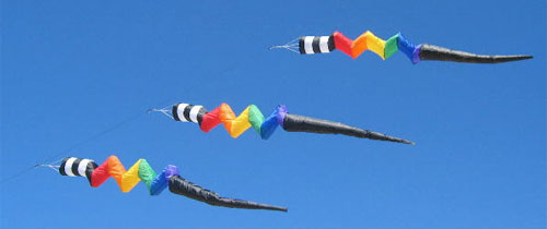 Gomberg Kites