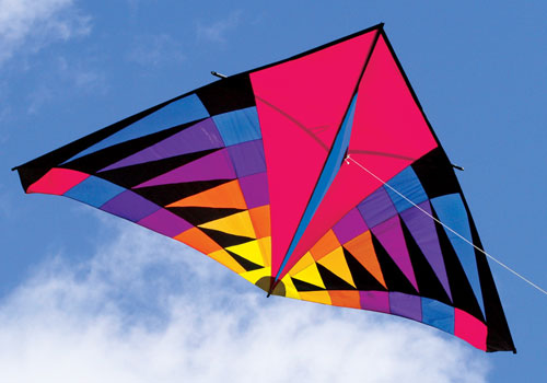Sweet 16 Delta Kite at WindPower Sports Kites